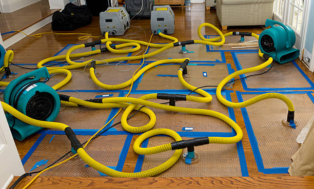 Professional Structural Drying And Dehumidification technician working in Petersburg, NY